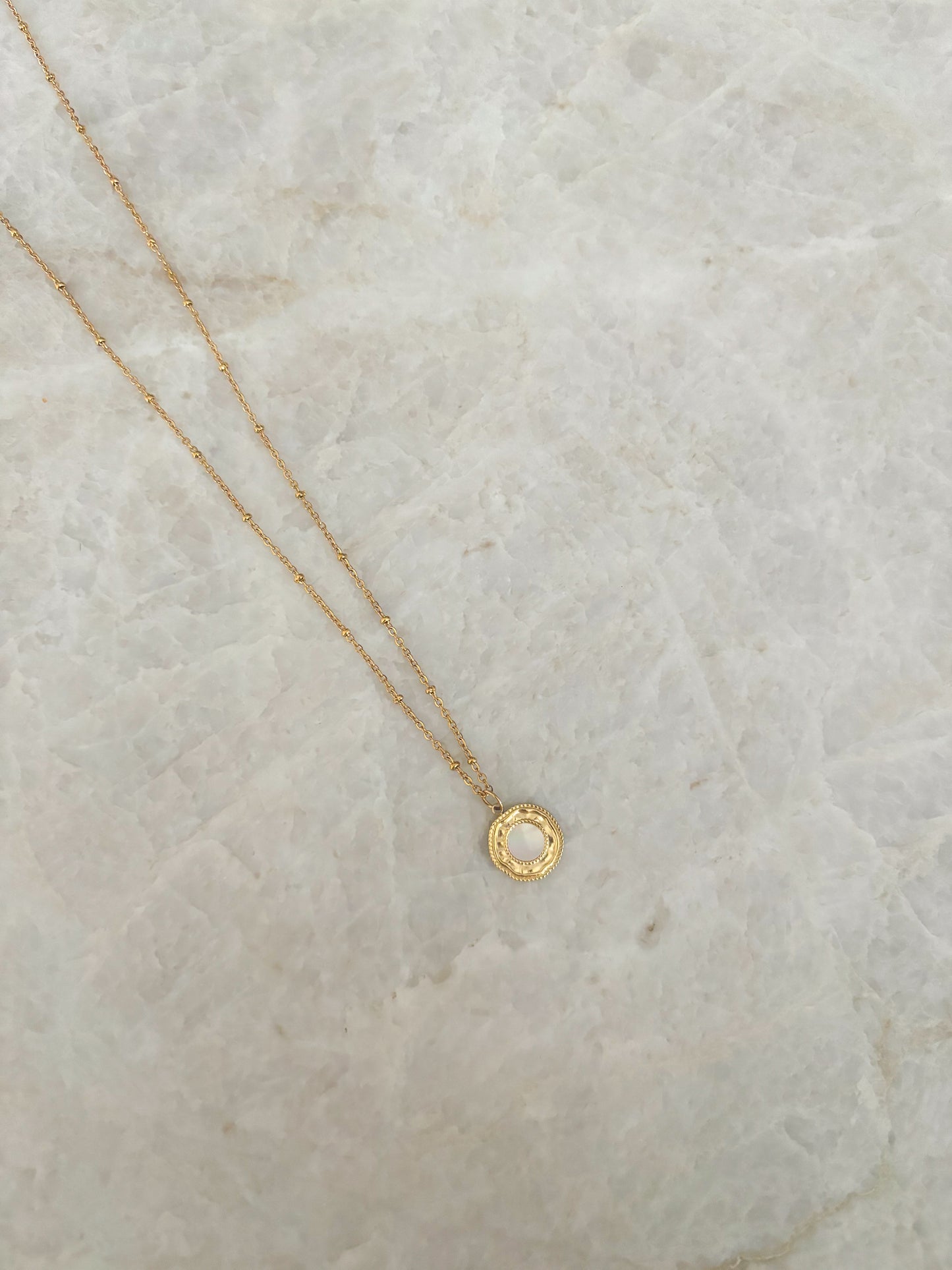 Elegant shell necklace