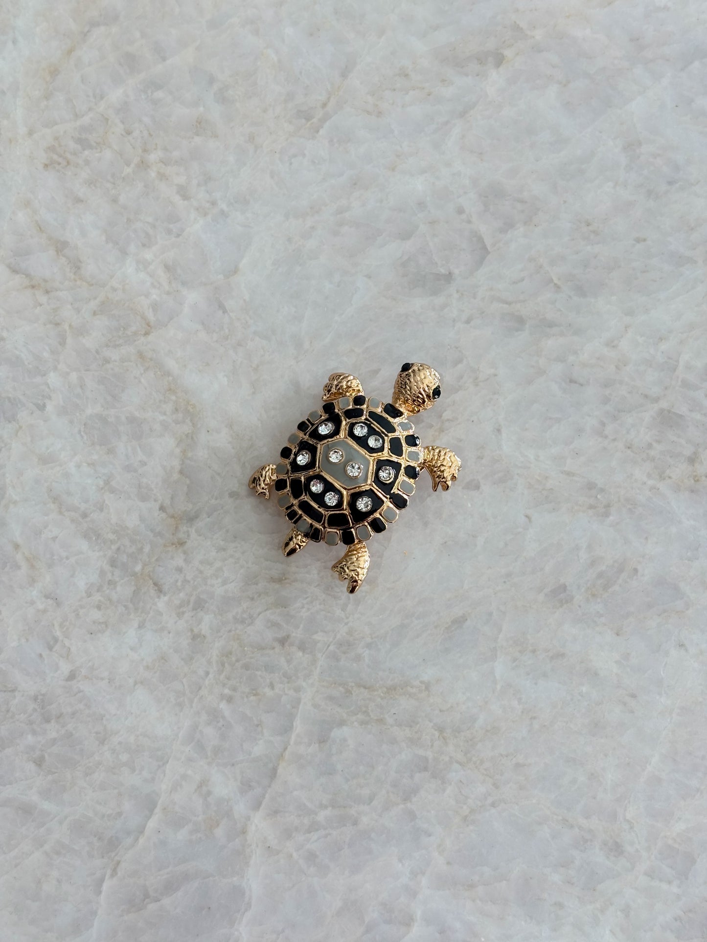 Brooche turtle