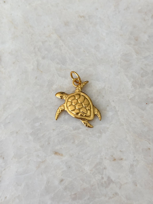 Turtle gold