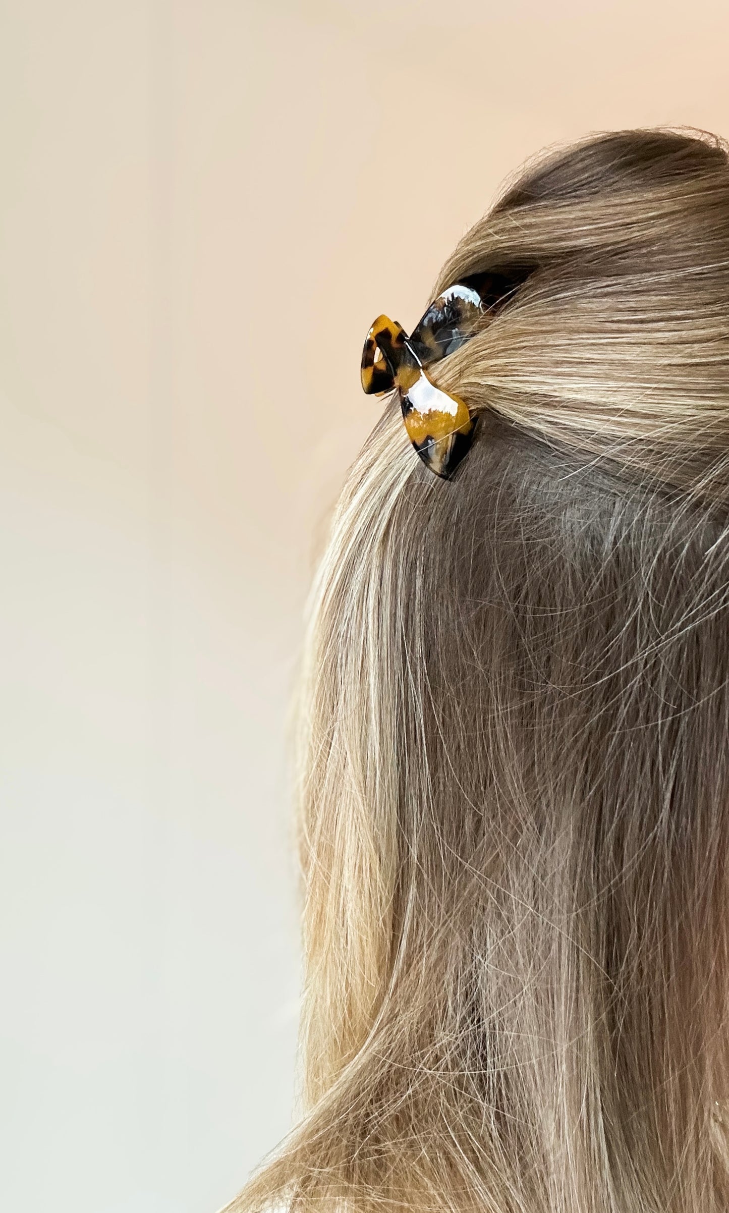 Classy hairclip
